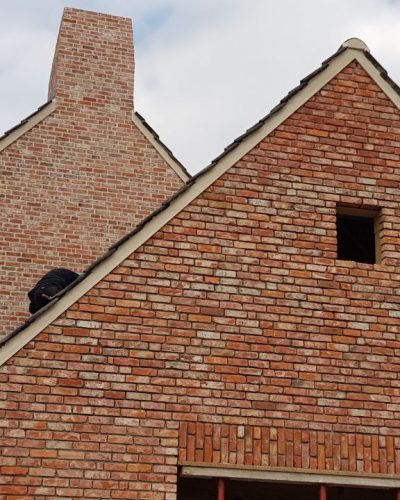 photo_49_2023-10-18_14-18-05